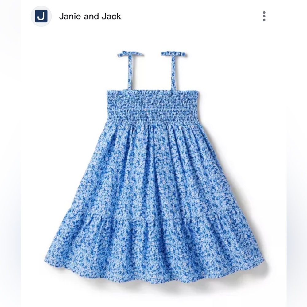 Janie and Jack kids Blue Floral Sundress